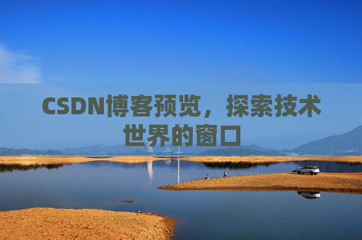 CSDN博客预览,探索技术世界的窗口